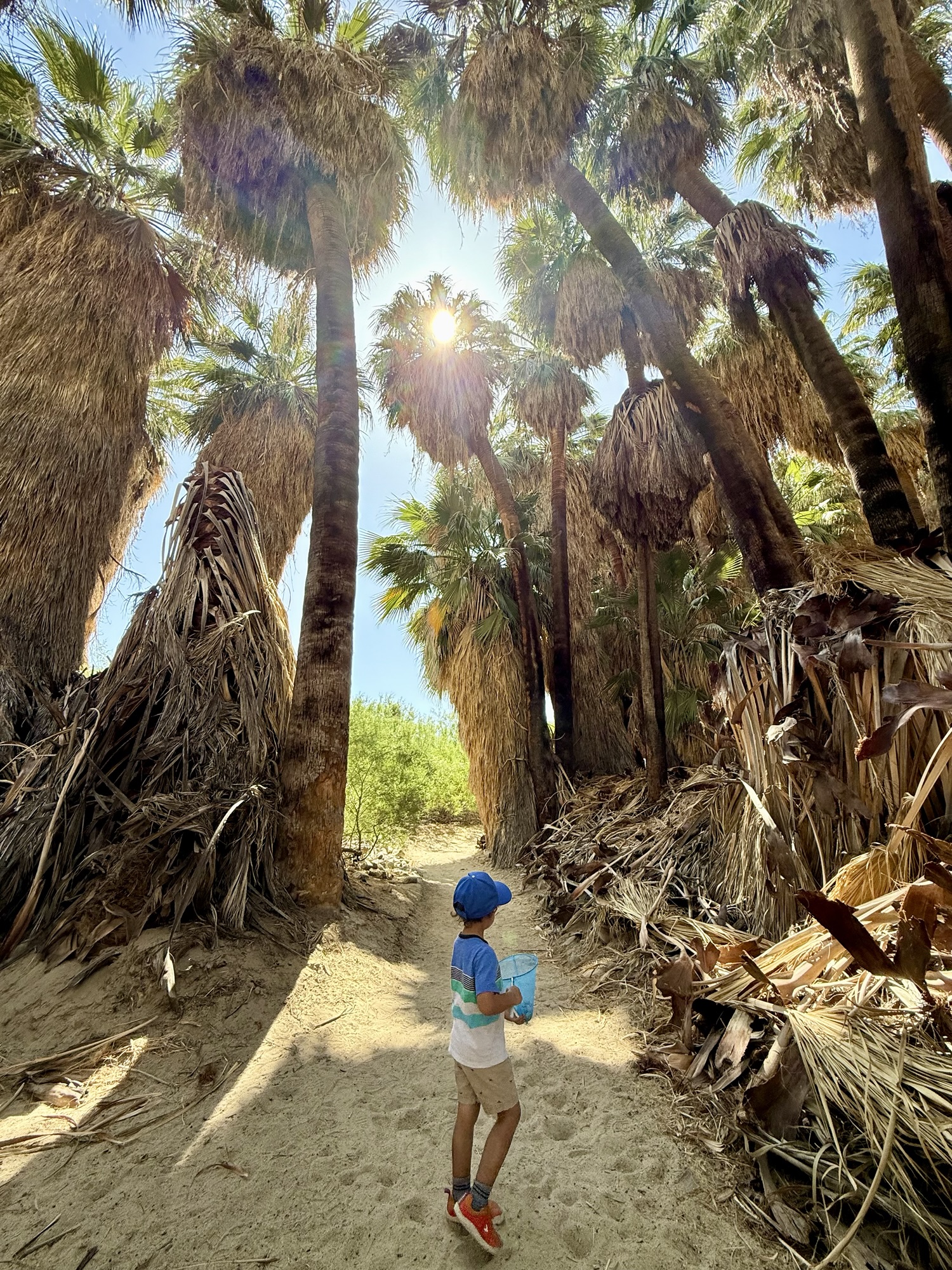 Paxton exploring with a bug catcher at Omni Rancho Las Palmas