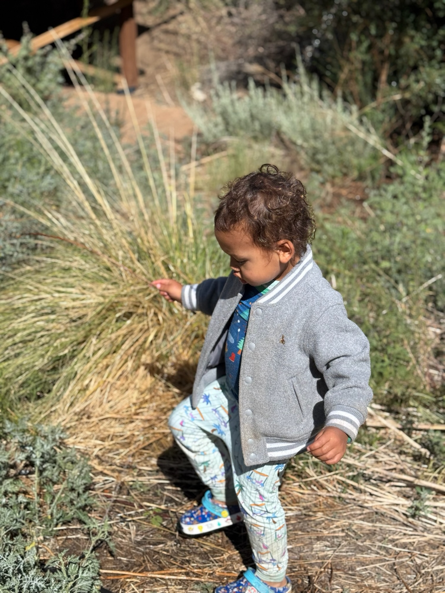 Paxton on a solo adventure at Huttopia Paradise Springs