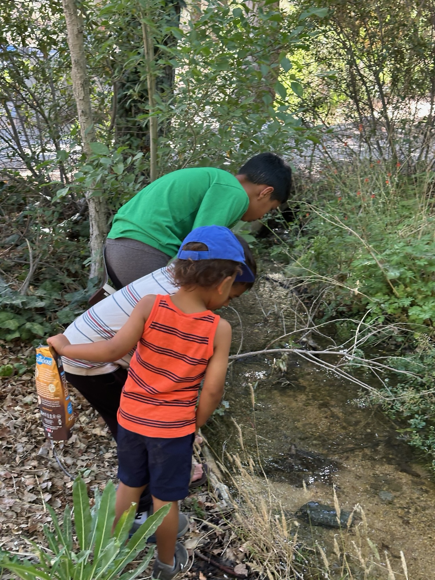 Kids on an adventure exploring Huttopia grounds