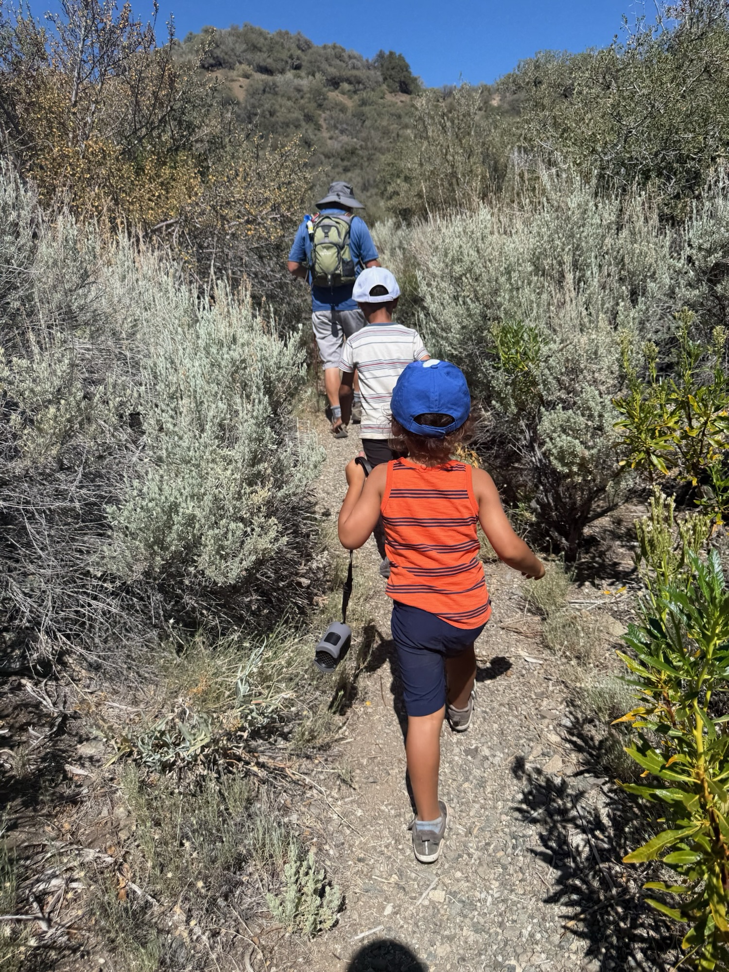 Kids hiking with Mike, leading the family hike