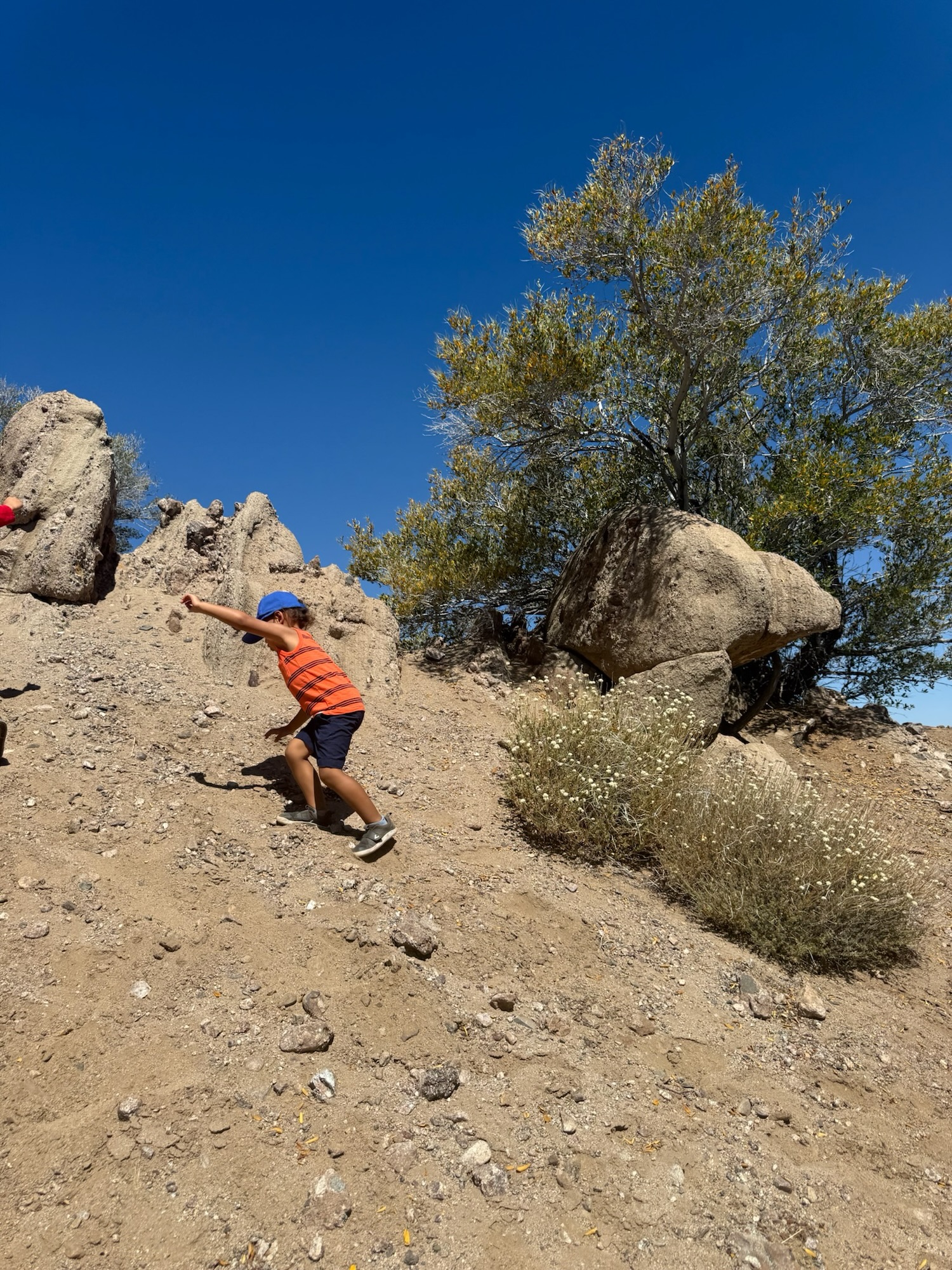 Paxton climbing up a hill at Huttopia