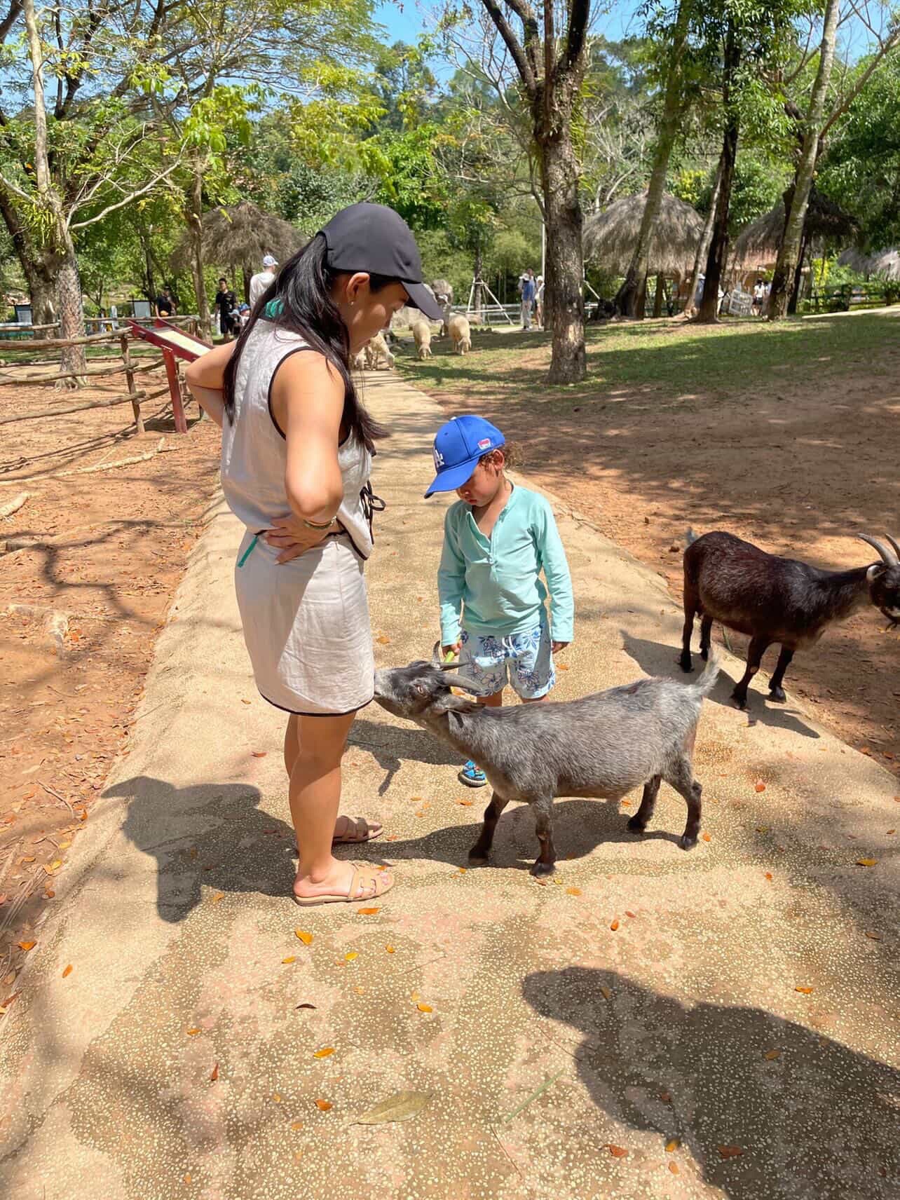 Mom and child feeding a goat at Vinpearl Safari Phu Quoc during a Vietnam family trip