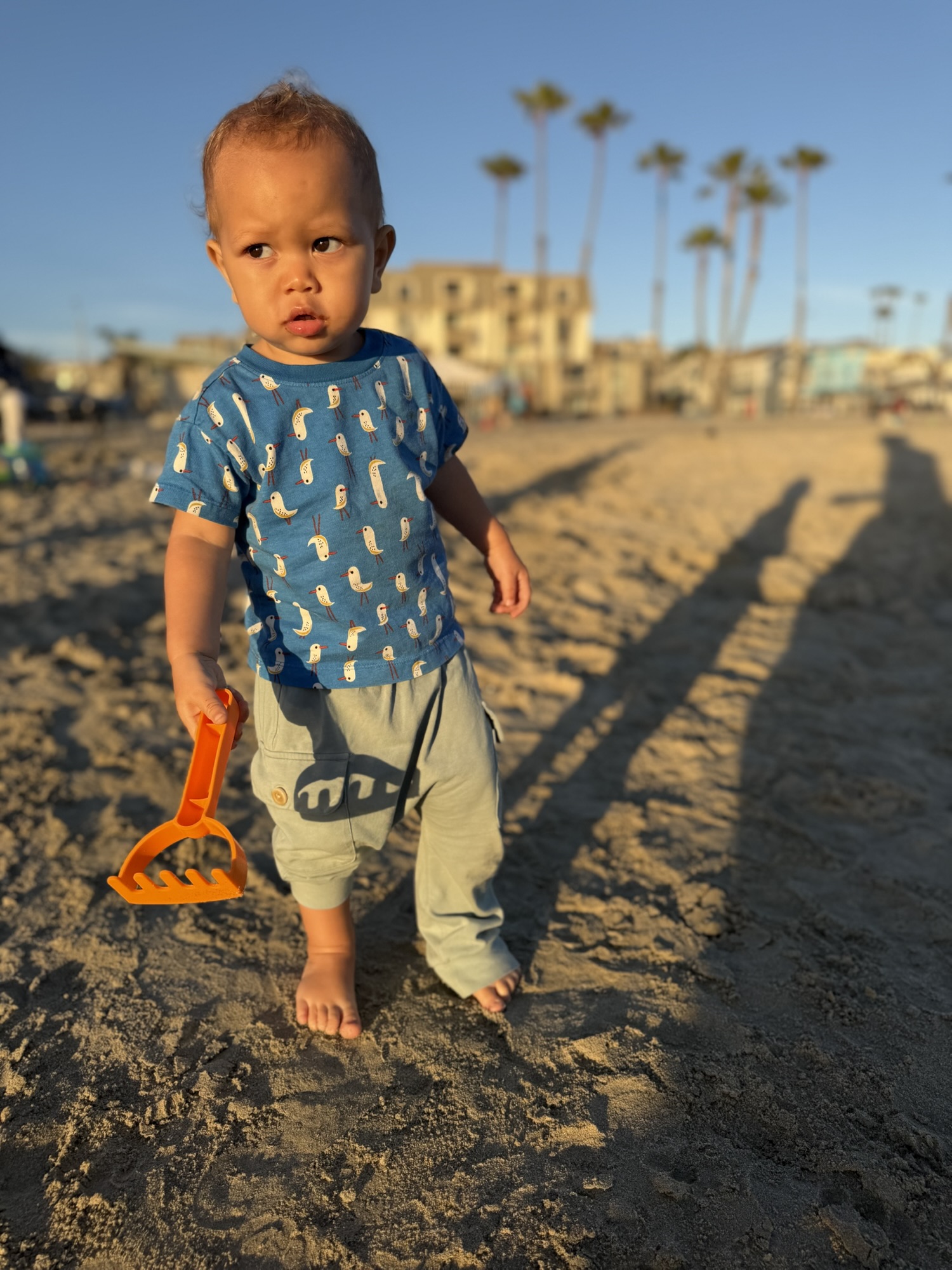 Toddler holding a sand rake on Oceanside beach at golden hour
