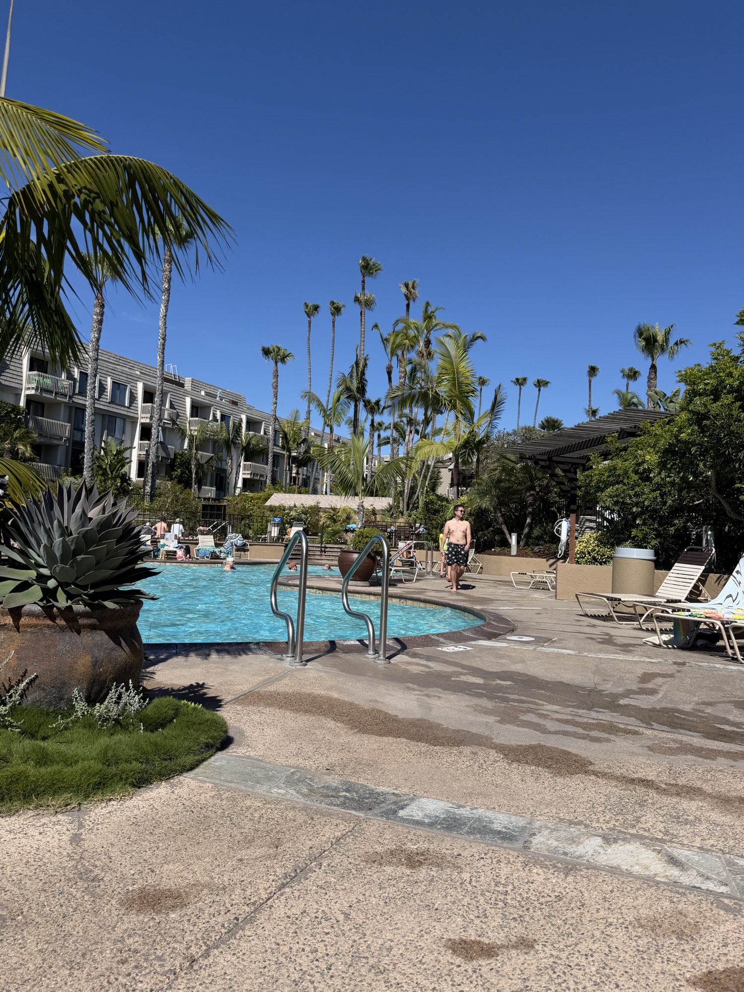 Oceanside condo pool surrounded by palm trees on a sunny day