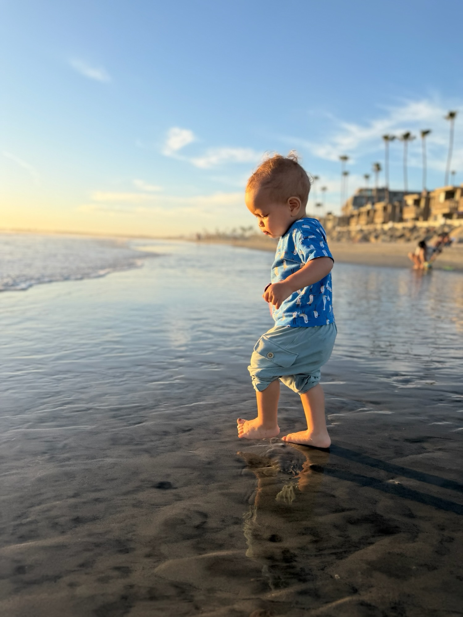 Toddler walking along the shallow shoreline in Oceanside at sunset