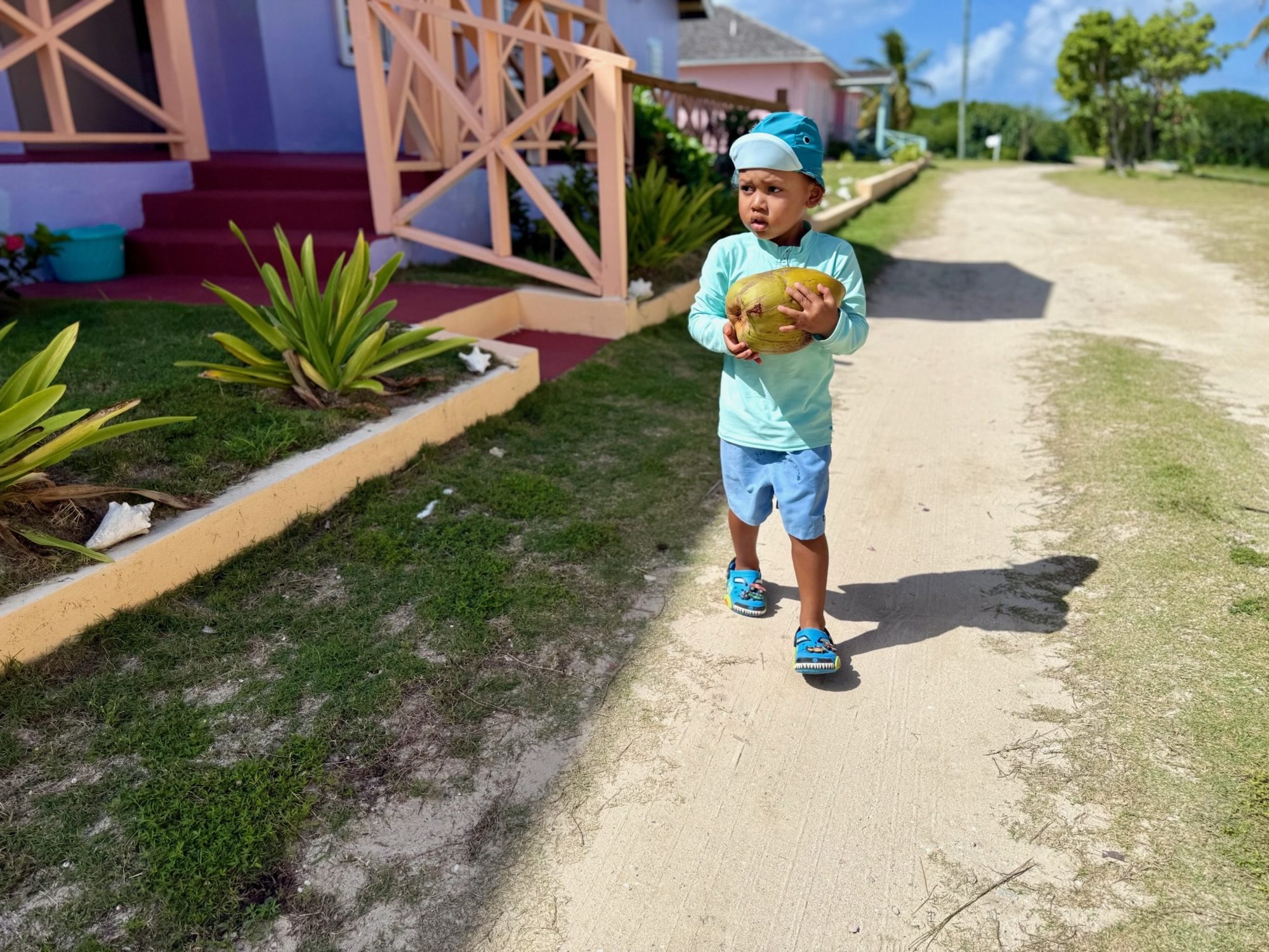 Toddler holding a fresh coconut at Rendezvous Bay Hotel in Anguilla