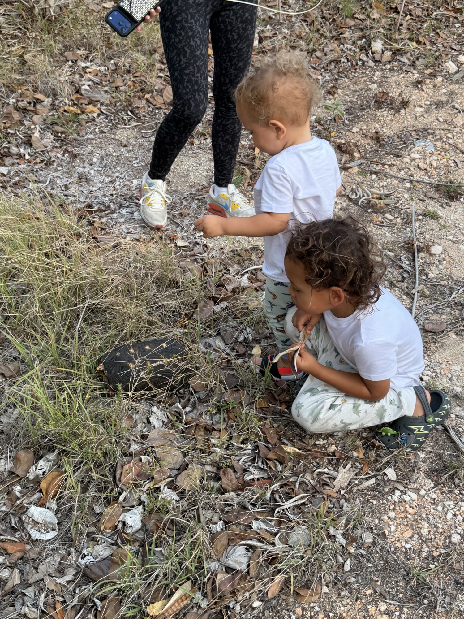 Paxton and Mom admiring a tortoise on the Rendezvous Bay property